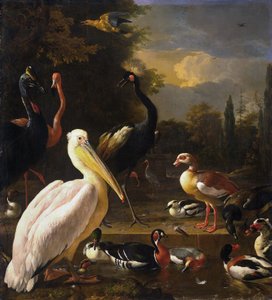 Un pellicano e altri uccelli vicino a uno stagno, noto come "La piuma galleggiante". da Melchior d