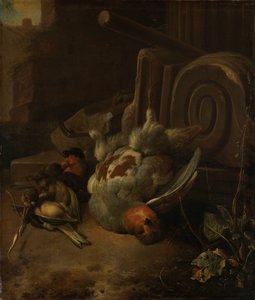 Uccelli morti