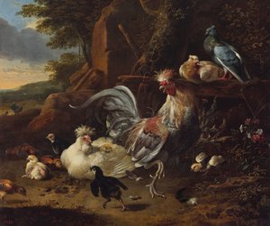 Gallo, galline e altri volatili in cortile da Melchior d