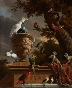 La menagerie da Melchior d
