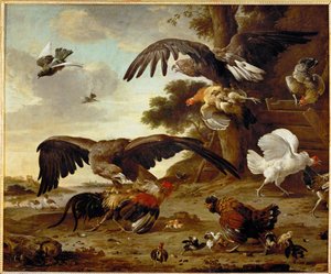Le aquile attaccano i polli ... da Melchior de (manner of) Hondecoeter