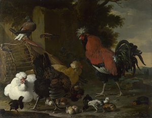 Un gallo, galline e pulcini, ca 1668-1670 da Melchior de Hondecoeter