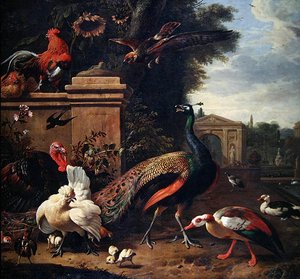 Un pavone, un falco e vari volatili e anatre in un parco da Melchior de Hondecoeter