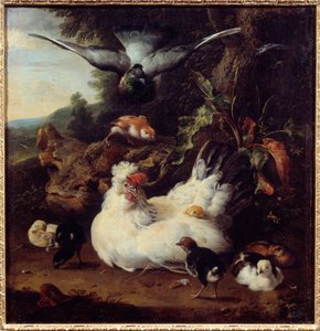 Una gallina e i suoi pulcini da Melchior de Hondecoeter