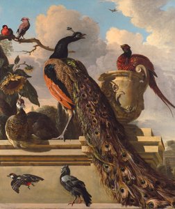 Uccelli nel parco da Melchior de Hondecoeter