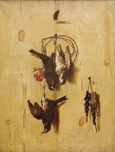 Uccelli morti