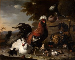 La pace nel cortile dei polli da Melchior de Hondecoeter