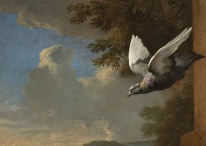 Dettaglio da Menagerie, c.1680