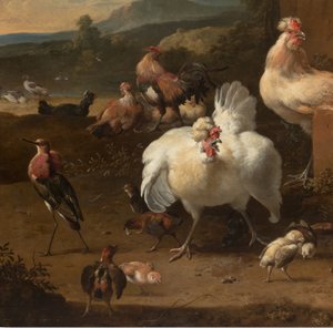 Dettaglio da Menagerie, c.1680 da Melchior de Hondecoeter