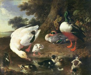 Anatre nel cortile da Melchior de Hondecoeter