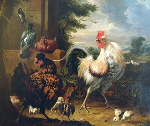 Pollame del cortile da Melchior de Hondecoeter