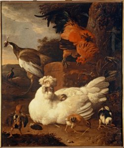 Chioccia con pulcini da Melchior de Hondecoeter