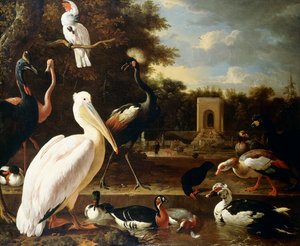 Molti tipi diversi di uccelli a una pozza in un parco da Melchior de Hondecoeter