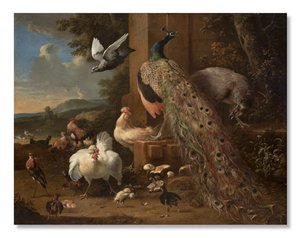Menagerie, c.1680 da Melchior de Hondecoeter