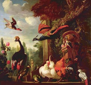 Immagine sconosciuta da Melchior de Hondecoeter