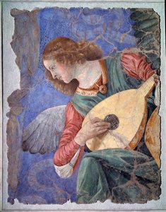 Angelo che suona il liuto, c.1480 (affresco staccato)