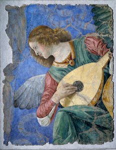 Angelo musicale (Un angelo che suona il liuto)
