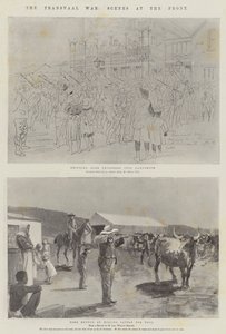 La Guerra del Transvaal, Scene al Fronte