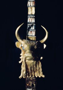 Testa di un toro, decorazione di un