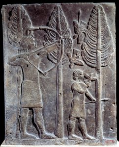 Scena di caccia agli uccelli. Bassorilievo in alabastro dal Palazzo di Sargon II o Sharroukin, Re di Assiria a Khorsabad (Khunsabad) (Mesopotamia), Iraq. 722-705 a.C. Parigi, Louvre da Mesopotamian Mesopotamian
