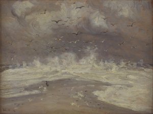 Onde sulla costa nord dello Jutland