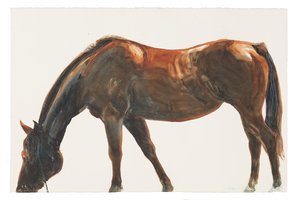 Senza titolo, 2018 da Michael Frith