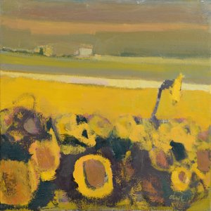 Girasoli vicino a Puymirol, 2017 (olio su lino)