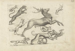 Foglio di studio con esempi di disegno: vari animali