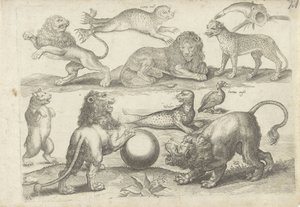 Foglio di studio con esempi di disegno: vari animali da Michael Snijders