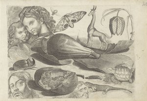 Foglio di studio con esempi di disegno: teste, animali e frutti da Michael Snijders