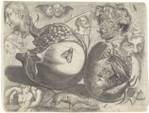 Foglio di studio con esempi di disegno: teste, figure, frutti, animali da Michael Snijders
