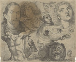 Foglio di studio con esempi di disegno: teste, torso e animali da Michael Snijders