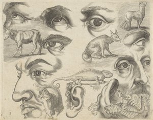 Esempi di disegno da Michael Snijders