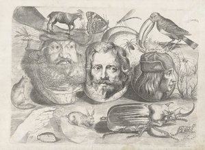 Foglio di esercitazione con esempi di disegni: ritratti, animali, insetti