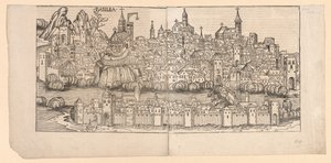 Cronaca di Norimberga: Veduta topografica di Basilea, Svizzera, 1493