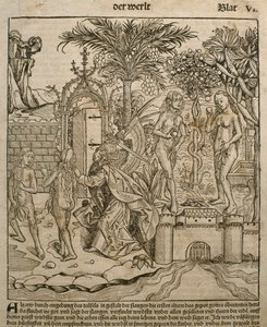 Adamo ed Eva, illustrazione dal 