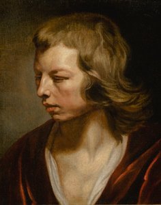 Studio di un ragazzo