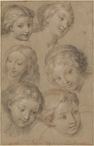 Studi di Teste di Donne