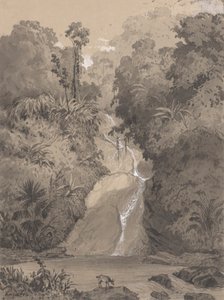 Cascata a St. Anns da Michel Jean Cazabon