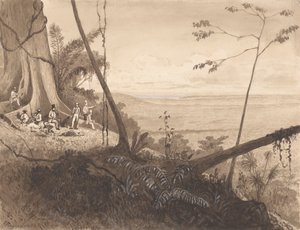 Cedar Point, Monte Tamana