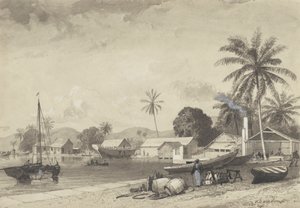 Corbeaux Town, Port of Spain da Michel Jean Cazabon