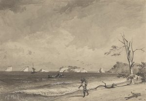 Los Gallos, Baia di Icacos