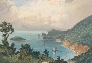 Costa Nord di Trinidad, dal Posto Nord