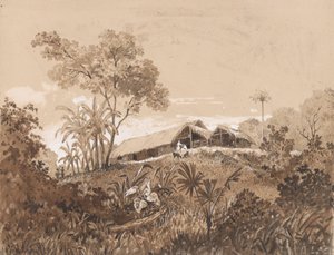 Il cottage, Monte Tamana