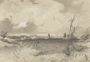 Il Lago di Pece da Michel Jean Cazabon