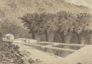 Il serbatoio a Maraval da Michel Jean Cazabon