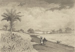 La strada per il Lago di Pece da Michel Jean Cazabon