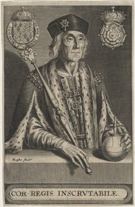 Enrico VII d