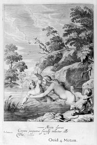 La Ninfa Salmacis e Ermafrodito, 1655 da Michel de Marolles