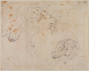 Copia dal Giudizio Universale da Michelangelo (after) Buonarroti